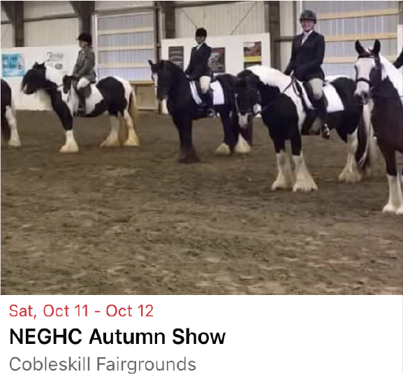NEGHC Show
