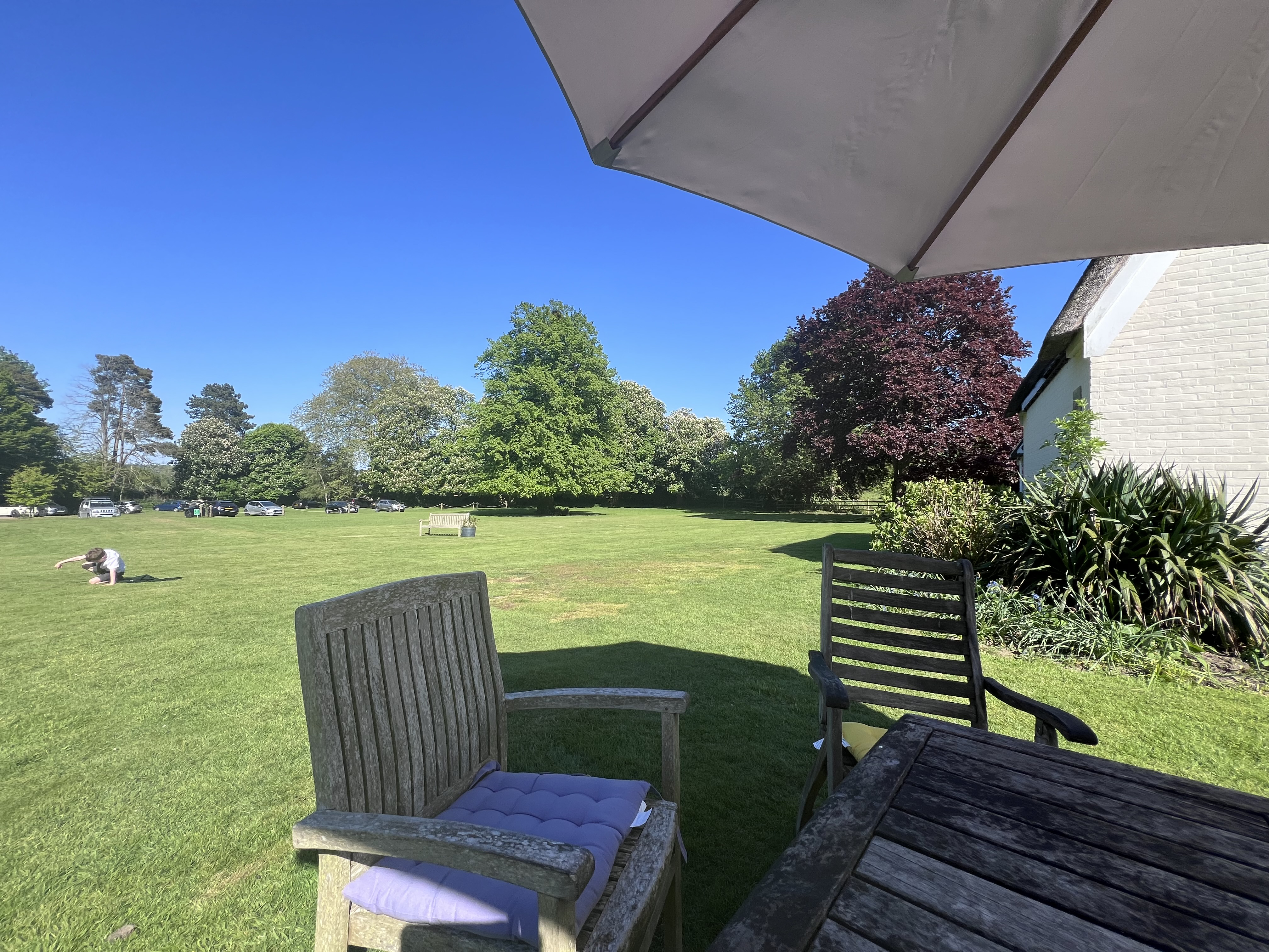 Lawn