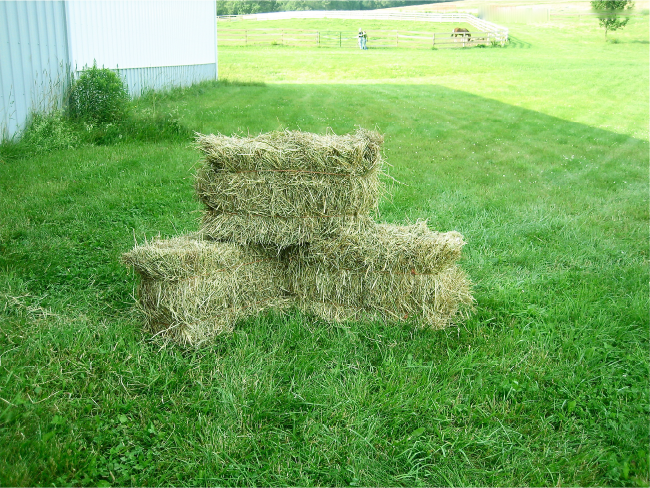 Hay Bales