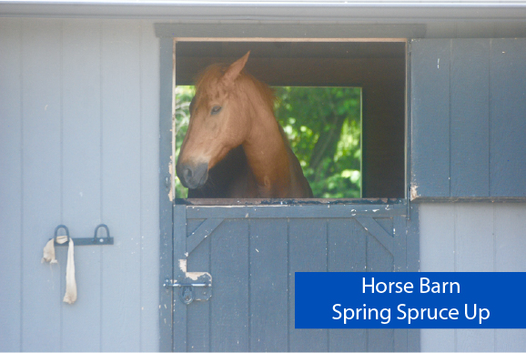 Horse Barn Spring Spruce Up 
