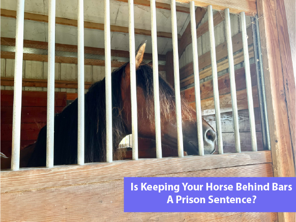 Is Keeping Your Horse Behind Bars A Prison Sentence? Is Keeping Your Horse Behind Bars A Prison Sentence?