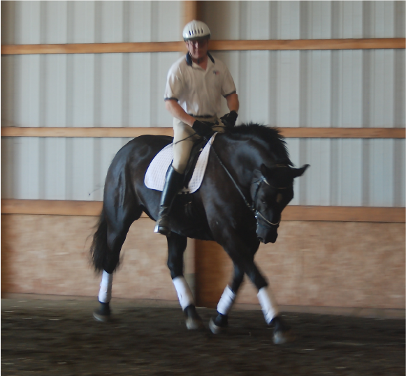 Make a Road Map to Succeed in Dressage