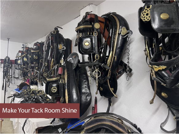 Make Your Tack Room Shine 
