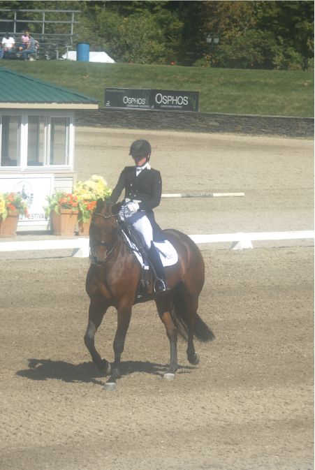 Master The Half-Pass – Dressage Is Easier Than You Think