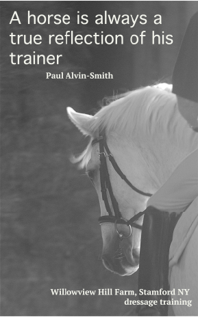 A horse is always a mirror image or reflection of his trainer/rider in all aspects. 