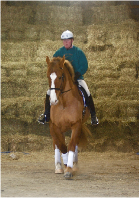 Latitude and Longitude