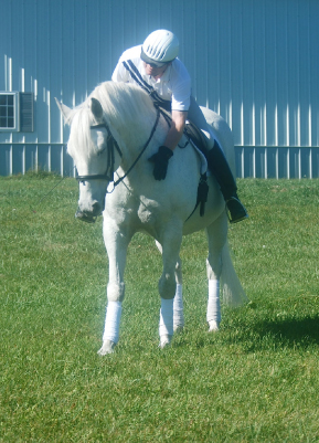 Positive reinforcement is important