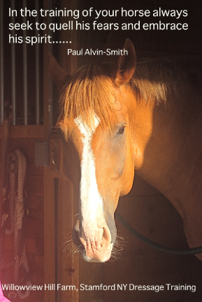 As a trainer always seek to quell the fears of both horse and rider.