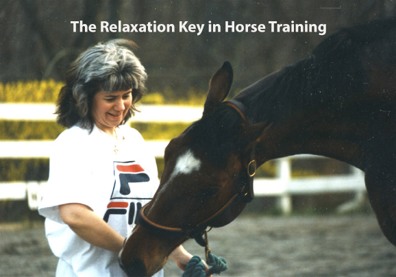 The Relaxation Key in Horse Training
