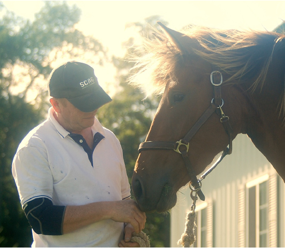 Horse with Handler