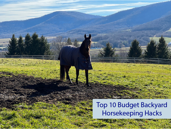 Top 10 Budget Backyard Horsekeeping Hacks Top 10 Budget Backyard Horsekeeping Hacks