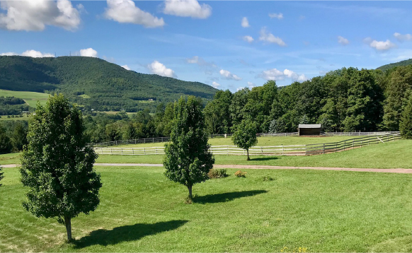 Top 10 Budget Backyard Horsekeeping Hacks Top 10 Budget Backyard Horsekeeping Hacks