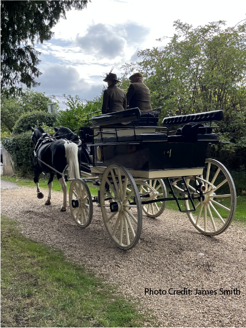 Walk On Gently:
A Carriage Ride Adventure Through Woburn Deer Park-Part 1 
by B.E. Smith