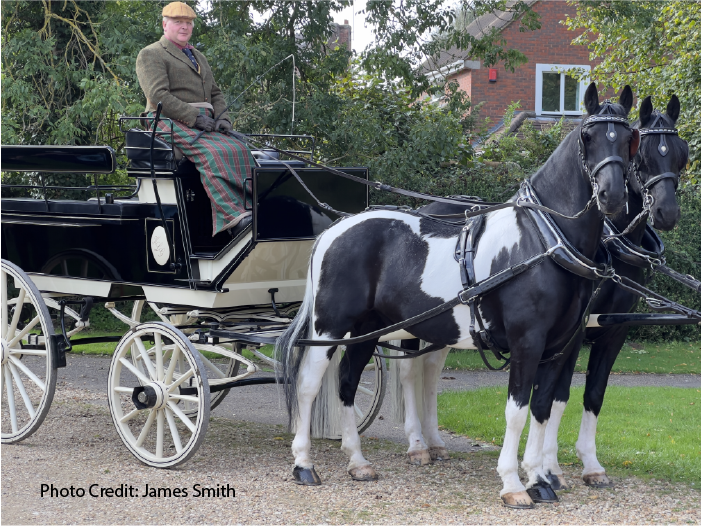 Walk On Gently:
A Carriage Ride Adventure Through Woburn Deer Park-Part 1 
by B.E. Smith