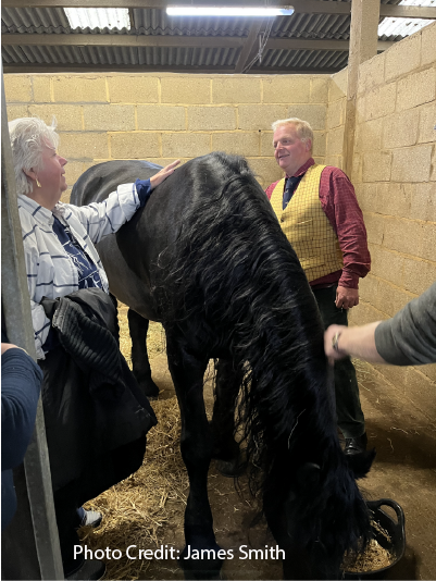 Walk On Gently:
A Carriage Ride Adventure Through Woburn Deer Park-Part 1 
by B.E. Smith