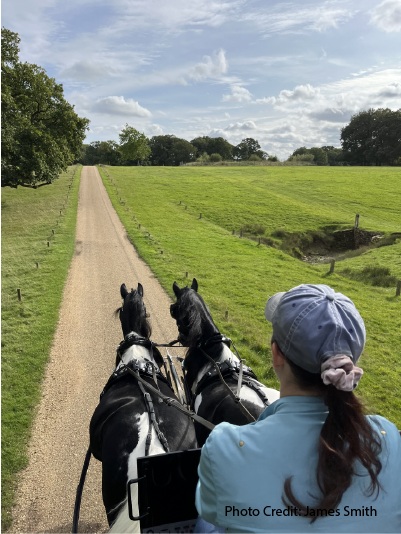 Walk On Gently:
A Carriage Ride Adventure Through Woburn Deer Park-Part 1 
by B.E. Smith