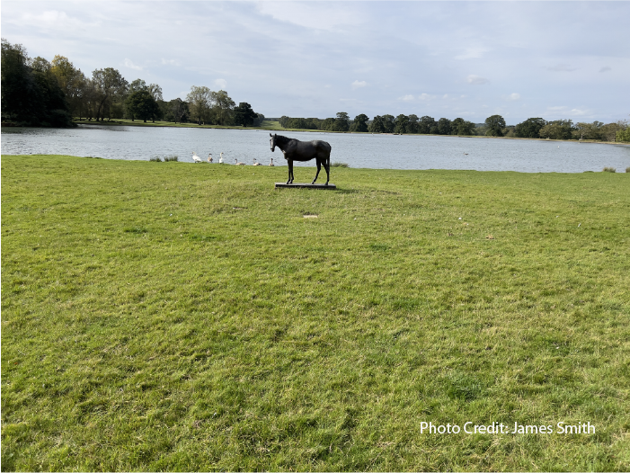 Walk On Gently:
A Carriage Ride Adventure Through Woburn Deer Park-Part 1 
by B.E. Smith