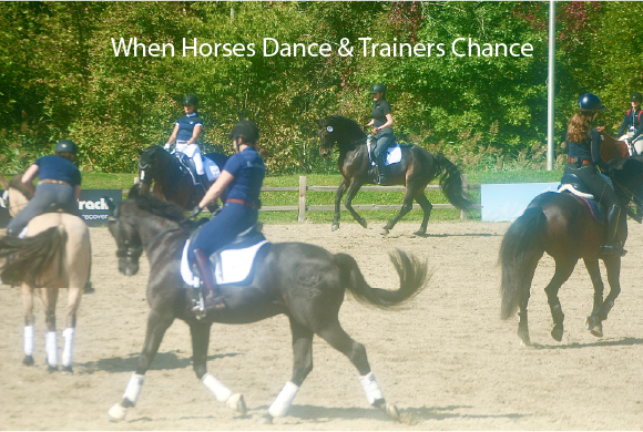 When Horses Dance & Trainers Chance