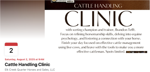 Cattle Handling Clinic