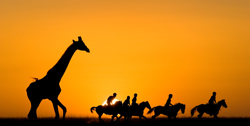 Horse Riding in Kenya