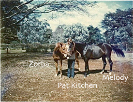 Pat Kitchen