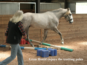 Gran Hostil Working with Trotting Poles