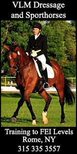 VLM dressage