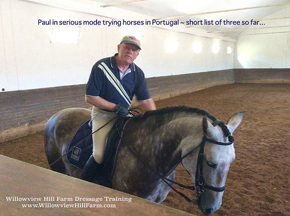 Lightness in Dressage