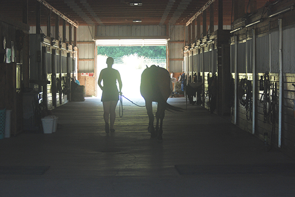 Life As A Professional Horse Groom By Tina Hammond