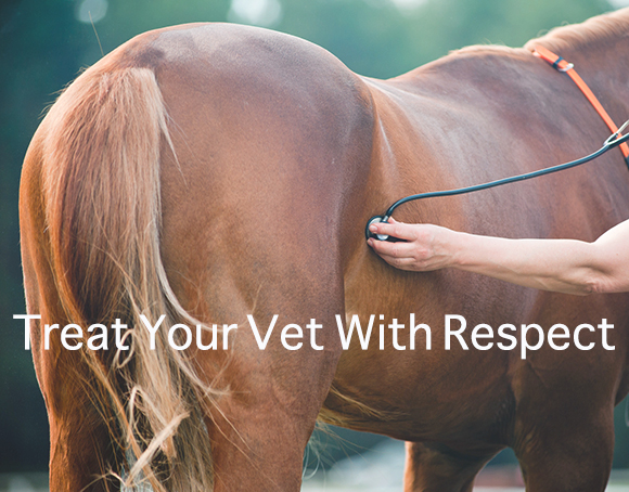 Treat Your Vet With Respect