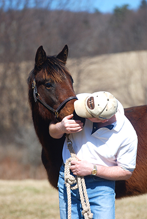 The Professional Equestrian’s Guide to Time Management