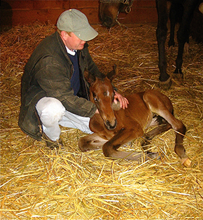 The Professional Equestrian’s Guide to Time Management