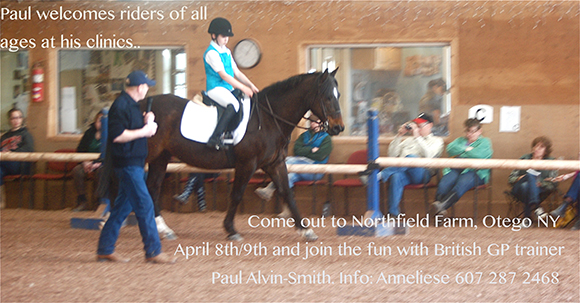 How-To-Build A Better Horse Business