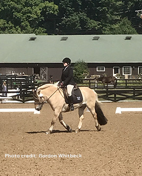 Dancing Dressage Fjords Take Root