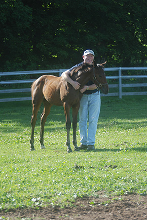 Everything You Do Matters With Horses