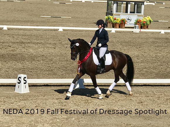 NEDA 2019 Fall Festival of Dressage Spotlight