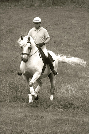 The Queen of Dressage Movements ~ The Passage