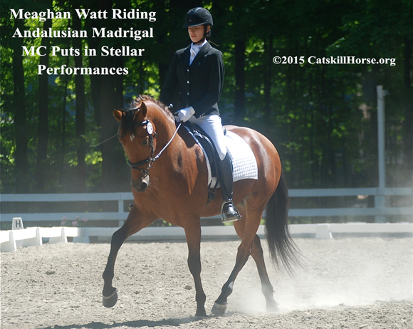 Meaghan Watt and the Andalusian Madrigal MC