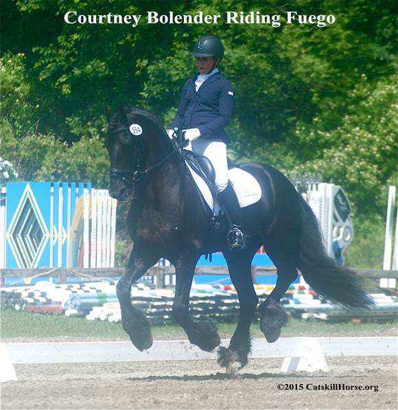 Courtney Bolender rode Ellen Knox's Friesian Fuego