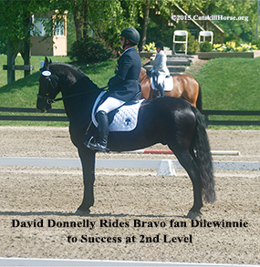 David Donnelly Riding Bravo fan Dilewinnie