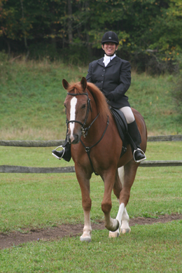 Woodstock Riding Club