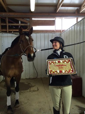 Tinkerbell is a Dutch warmblood mare, owned and loved by Julie