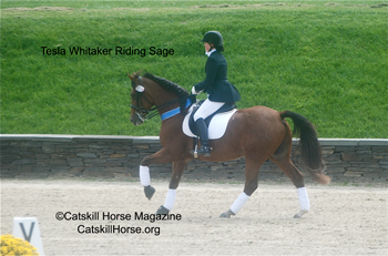 Tesla Whitaker Riding Sage