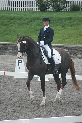 The King of Dressage Movements ~ The Piaffe 
By Nikki Alvin-Smith