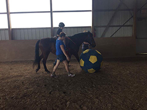 Therapeutic Riding