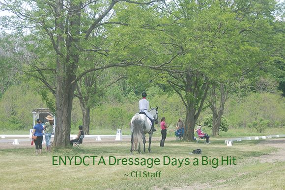 ENYDCTA Dressage Days a Big Hit