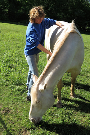 Who Doesn’t Love a Massage? Bet Your Horse Would Too..