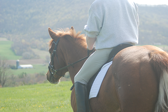 What to Know Before You Go Trail Riding 
By Nikki Alvin-Smith