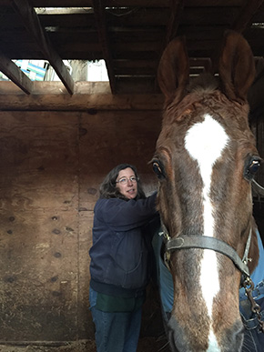 Modern Day Horse Whisperer By Nikki Alvin-Smith