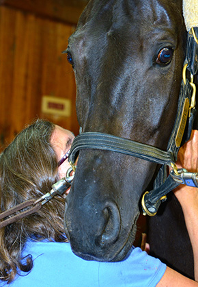 Modern Day Horse Whisperer By Nikki Alvin-Smith